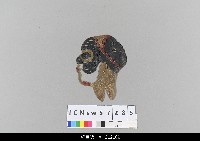 藏品(中國湖北皮影戲偶頭-丑)的圖片